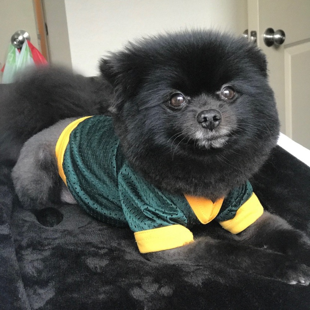 Meet your Posher, Corey